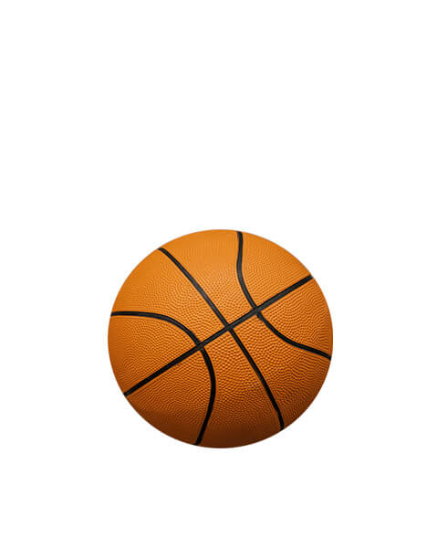 Ballons de basketball