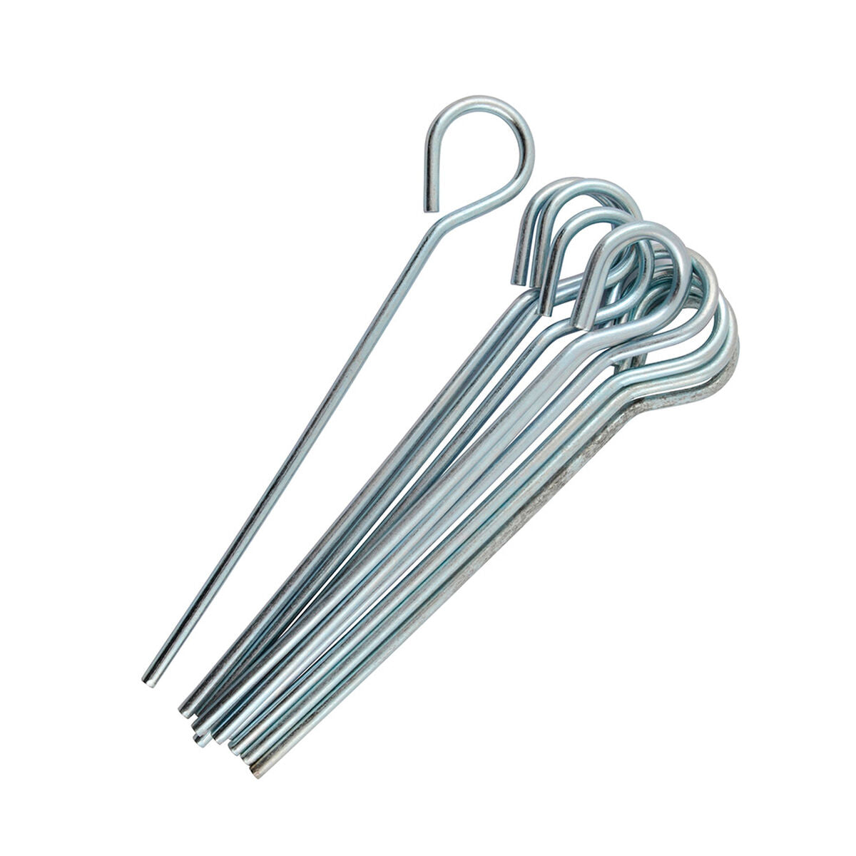 Sardines de tente